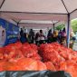 Pemprov Bagikan Sembako 1.170 Paket di Halmahera Selatan, Amasing Kota dan Labuha (Foto/At) 