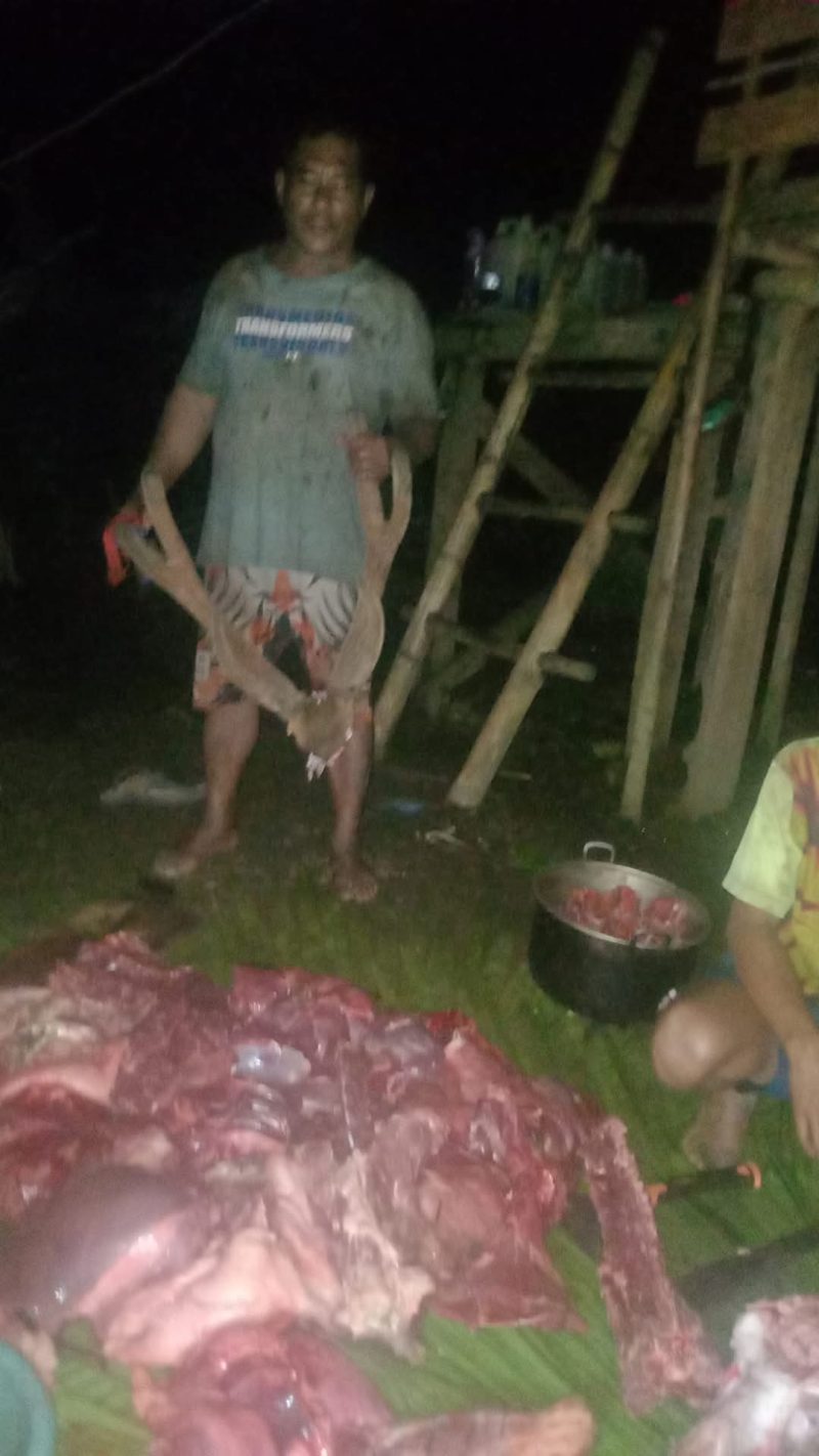 Kepala Desa Sawat Hamlan Hi. Ishak Memburu Satwa (rusa) mendapatkan hasil (Foto/Akun FB Putra Ganemo) 