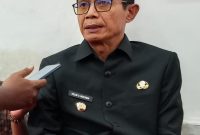 Wakil Bupati Halmahera Selatan Helmi Umar Muchsin (Foto/Nalarsatu.com)