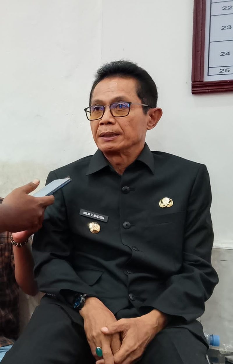 Wakil Bupati Halmahera Selatan Helmi Umar Muchsin (Foto/Nalarsatu.com)