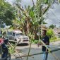 Tomy Nikolas Palang Jalan Tomori Perumahan Tamansari (Foto/Nalarsatu.com)