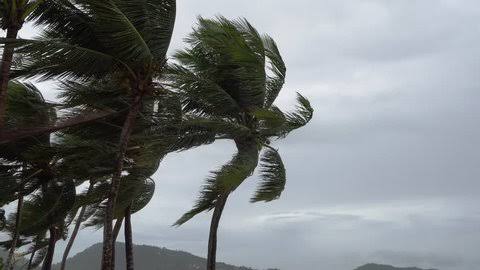 Hujan di Sertai Angin Kencang di Kabupaten Halmahera Selatan (Foto/Azu)