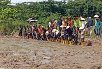 Kelompok Tani Kepulauan Obi menggelar kegiatan Panen Raya sebagai wujud keberhasilan petani lokal dalam mengelola sektor pertanian secara produktif dan berkelanjutan, disaksikan Bupati Halmahera Selatan bersama Kepala Dinas Pertanian Kabupaten Halmahera Selatan sebagai bentuk dukungan pemerintah daerah terhadap penguatan pertanian di wilayah kepulauan (Foto/Dabo)