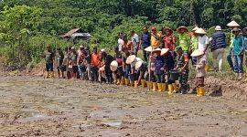 Kelompok Tani Kepulauan Obi menggelar kegiatan Panen Raya sebagai wujud keberhasilan petani lokal dalam mengelola sektor pertanian secara produktif dan berkelanjutan, disaksikan Bupati Halmahera Selatan bersama Kepala Dinas Pertanian Kabupaten Halmahera Selatan sebagai bentuk dukungan pemerintah daerah terhadap penguatan pertanian di wilayah kepulauan (Foto/Dabo)