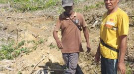 Pemilik lahan Desa Soligi, Alimusu (kanan), menunjukkan lokasi kebunnya yang diduga dijual sepihak oleh Kepala Desa Kawasi, sementara Alwani (depan) berdiri di atas lahannya seluas sekitar setengah hektare yang terdampak penggusuran tanpa kejelasan tanggung jawab dari Pemerintah Desa maupun PT Harita Group.