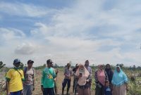 Dok : Nalarsatu.com