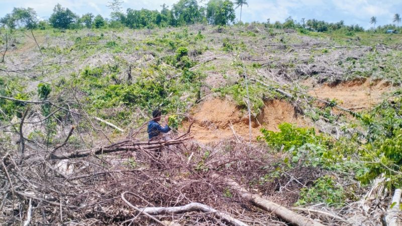 Lahan Alimusu 6,5 Hektare di Desa Soligi Kecamatan Obi Selatan Halmahera Selatan (Foto/Nalarsatu.com)